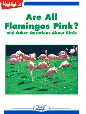 cover image of Are All Flamingos Pink? and Other Questions About Birds